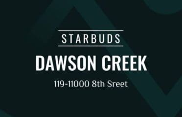 STARBUDS Dawson Creek