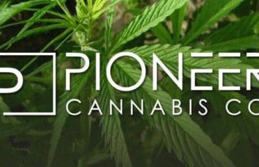 Pioneer Cannabis Co Burlington