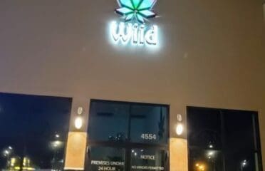 Wiid Boutique Cannabis Store on Albert Regina