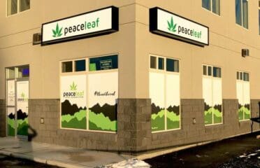 Peaceleaf Cannabis – Grande Prairie