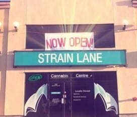 Strain Lane Cannabis