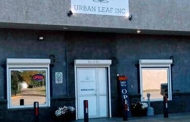 Urban Leaf – High Prairie