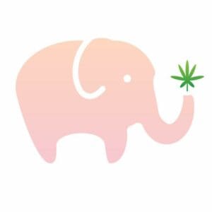 pink--elephant-condo-cannabis-friendly-hamilton-ontaio-logo