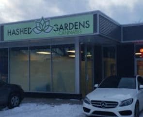 Hashed Gardens Cannabis