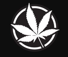 the-kootenays-cannabis-tree-nelson