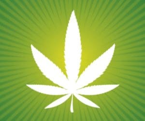 green-solution-cannabis-barrhead