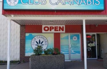 Club Cannabis – Buffalo Creek