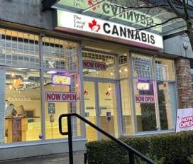 The Local Leaf Cannabis – Squamish