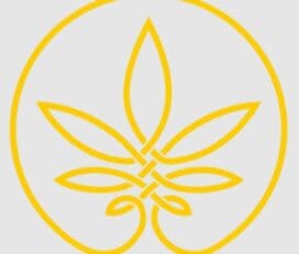 The Cannabist Shop – King St, Kitchener