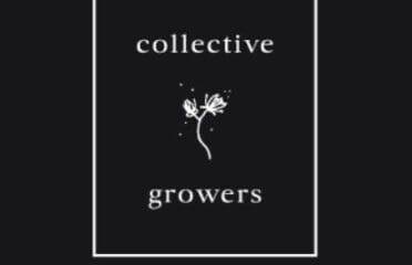 Collective Growers – Ottawa Downtown