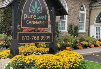 PureLeaf Cannabis – Ottawa