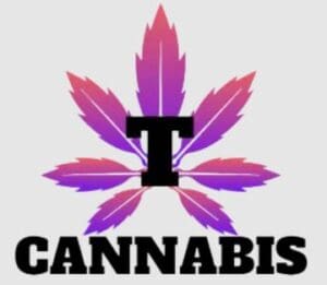 T Cannabis Hearst