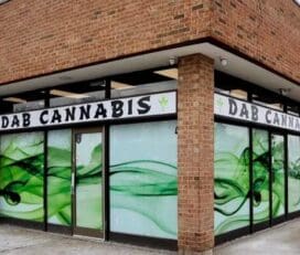 Dab Cannabis – Brampton