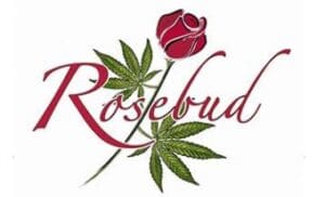 Rosebud Cannabis Toronto Rosebud Cannabis Toronto
