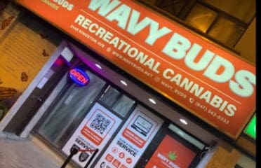 Wavy Buds Recreational Cannabis – Toronto