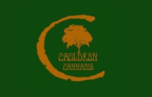 Cauldron Cannabis Watford