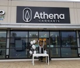Athena Cannabis – Ottawa
