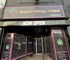 Barttowa Tree Cannabis – Hamilton
