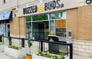 Buzzed Buds – Uxbridge