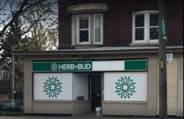 Herb N Bud Cannabis – Etobicoke