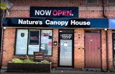 Nature’s Canopy House – East York