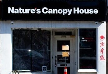 Nature’s Canopy House – Scarborough