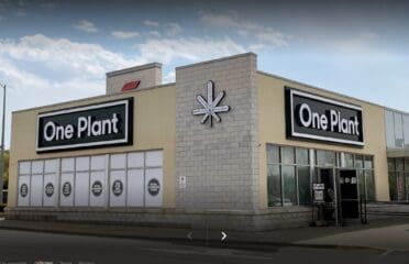 One Plant Cannabis – St. Catharines