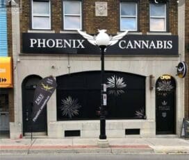 Phoenix Cannabis – Kitchener