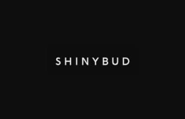 Shiny Bud Cannabis – Embrun