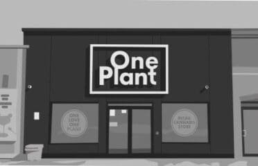 One Plant Cannabis – Walkerville, Windsor