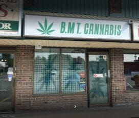 BMT Cannabis – Kingston