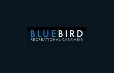 BlueBird Recreational Cannabis on Gladstone