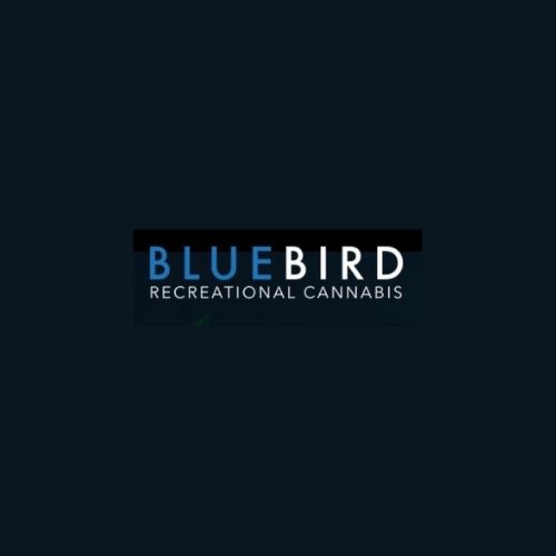 BlueBird Recreational Cannabis Store Nepean