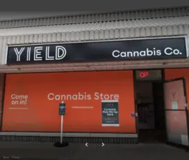 Yield Cannabis Co. – Belleville