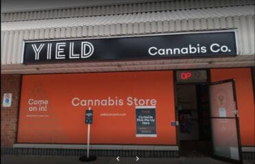 Yield Cannabis Co. – Belleville