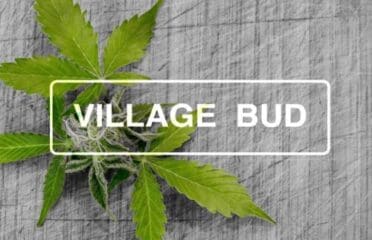 Village Bud – Lansdowne