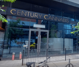 Century Cannabis – Toronto