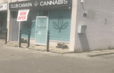 Club Canapa Cannabis – North York