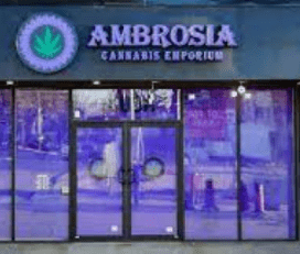 Ambrosia Cannabis Emporium on Queen St W