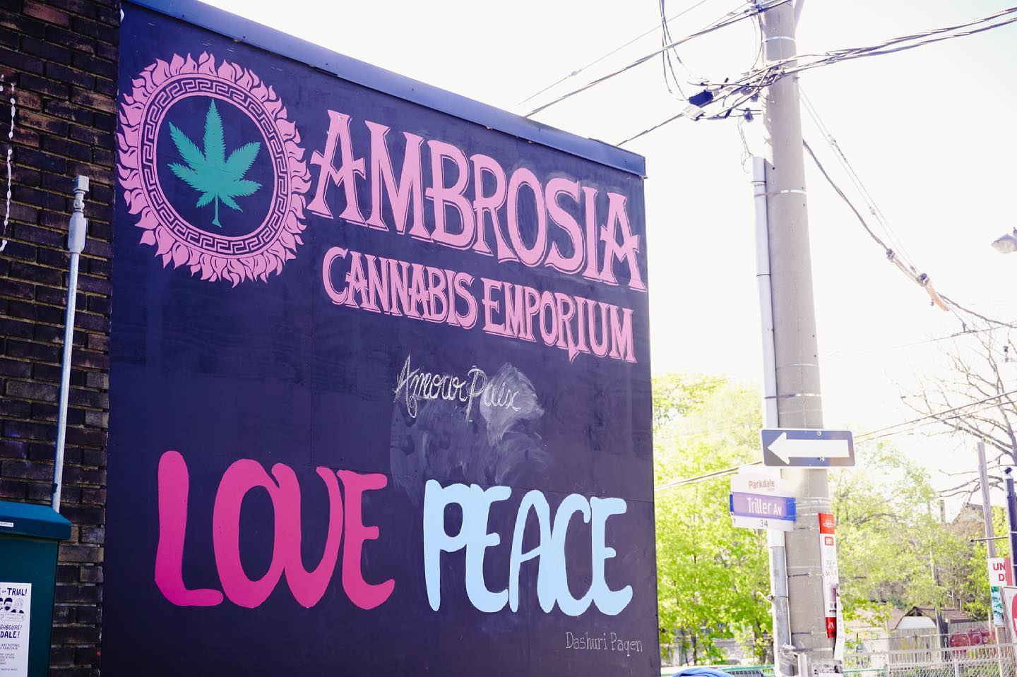 Ambrosia Cannabis Emporium on Queen St W