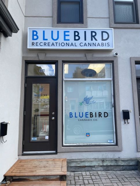 BlueBird Recreational Cannabis on Gladstone