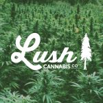 Lush Cannabis Peterborough