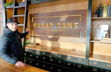 Sugar Cane Cannabis