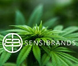 Sensi Brands Inc.