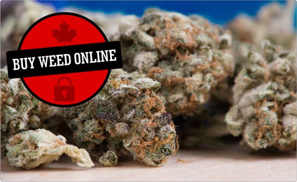 Legal Online Dispensary Canada With Provincial Regulations