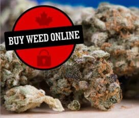 Online Dispensary Provincial Guide