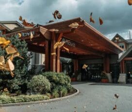 Aava Whistler Hotel – 420 Friendly