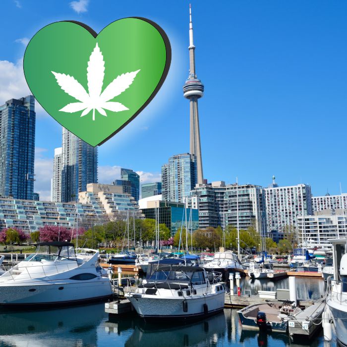 Cannabis Tourism Toronto: Activity and Events Guide