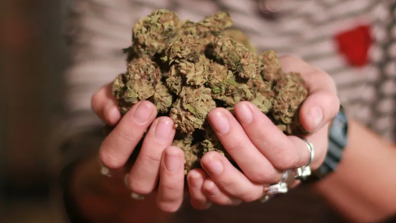How Many Grams Is An Ounce Of Weed In Canada?