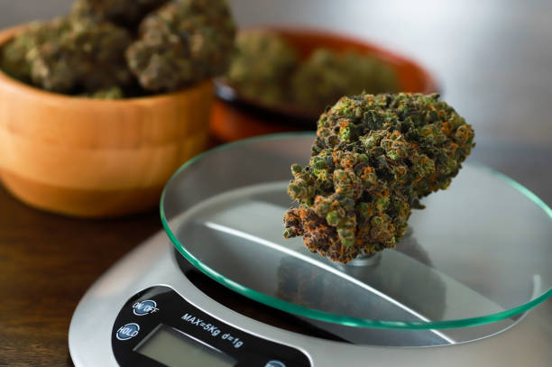 How Many Ounces In A QP Quarter Pound Of Weed In Canada?